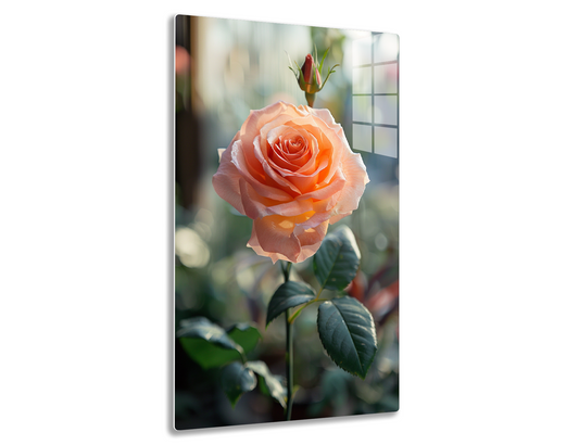 A close-up of a stunning peach-colored rose in full bloom, with delicate petals and a vibrant red center, surrounded by lush green leaves in a softly blurred background.
