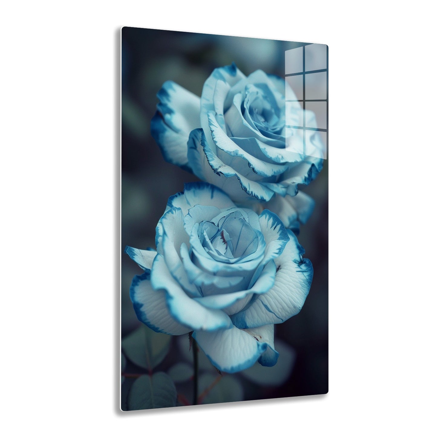 A close-up view of two beautiful blue roses with intricately layered petals, showcasing a striking monochrome blue color and delicate textures against a soft, blurred background.
