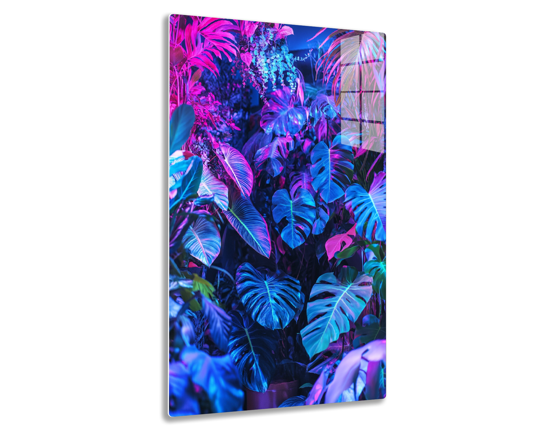 Vibrant image of lush tropical foliage in shades of pink, purple and blue, with large leaves emanating a neon glow against a dark background, creating a surreal and dreamlike atmosphere.
