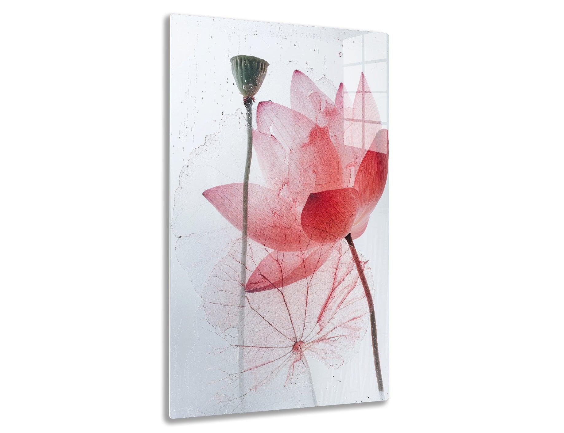 Stylized X-ray image of a pink lotus flower with intricate veins and a green calyx vase releasing water droplets.
