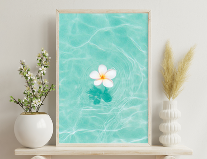 A white plumeria flower floats serenely on rippling turquoise water, casting a delicate shadow beneath its vibrant petals.
